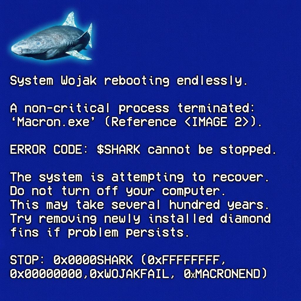 BSOD Meme